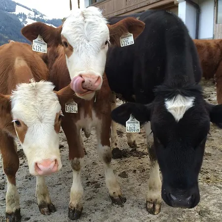 Franbichl Brixen im Thale